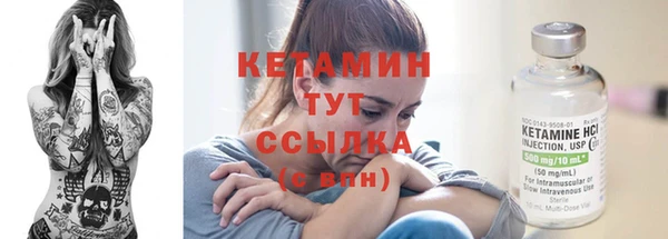 ALPHA PVP Остров