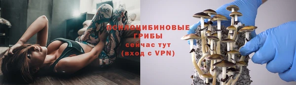 бутират Алексеевка