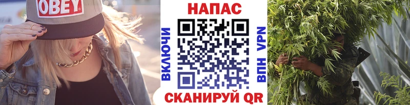 это Telegram  Петушки  Марихуана индика 
